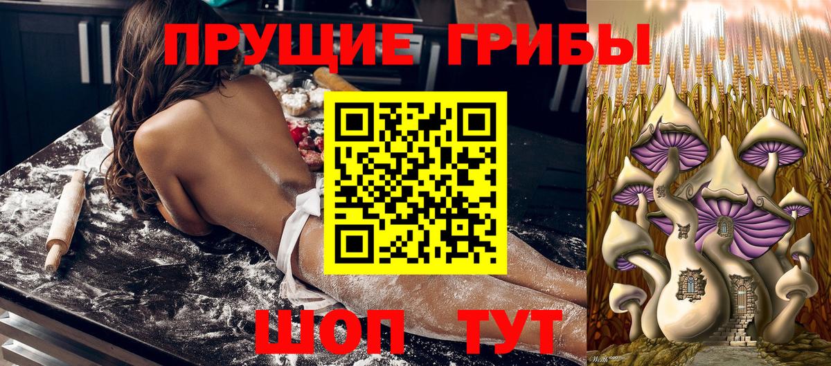 Галлюциногенные грибы Psilocybine cubensis  Галлюциногенные грибы Psilocybe  Вход с VPN  купить наркоту  Курчалой 